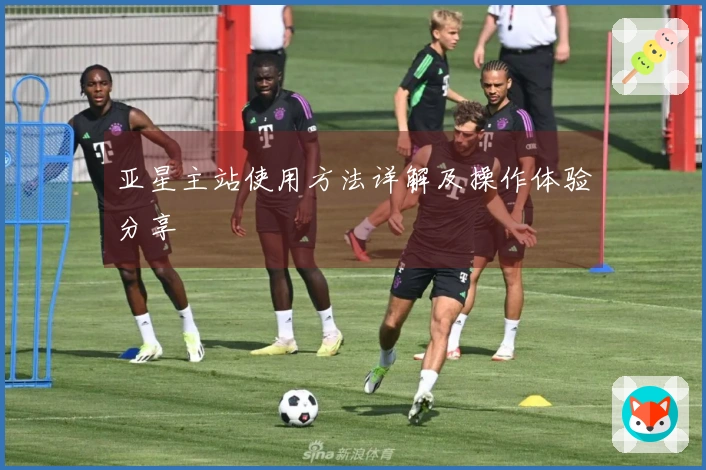 亚星主站使用方法详解及操作体验分享