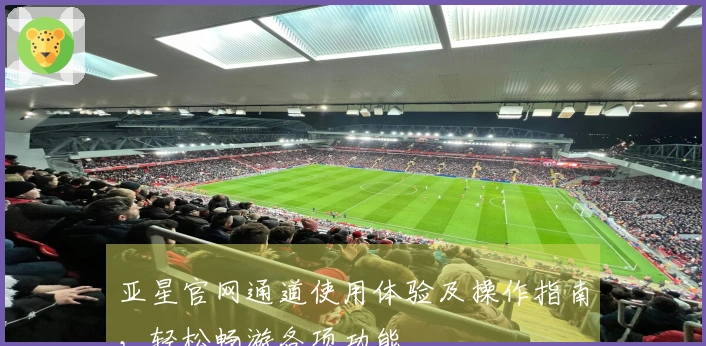 亚星官网通道使用体验及操作指南，轻松畅游各项功能